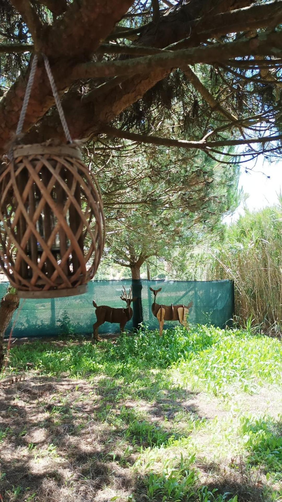 Kabaceira Glamping Hotel Atalaia  Room photo